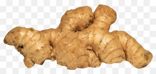 Ginger Png Image For Free Download - Ginger Root,Ginger Png