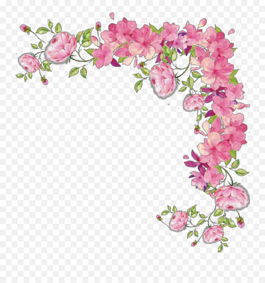 Pink Cascading Rose Vine Png Images - Clear Background Transparent Flower Border,Rose Vine Png