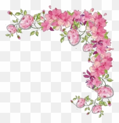 Pink Cascading Rose Vine Png Images - Clear Background Transparent Flower Border