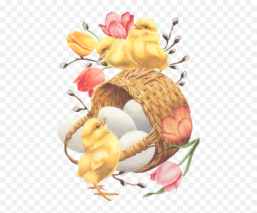 Easter Basket With Eggs Chickens U2013 Download Free Png - Illustration Of Chicks,Easter Basket Png