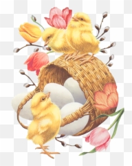 Easter Basket With Eggs Chickens U2013 Download Free Png - Illustration Of Chicks,Easter Basket Png
