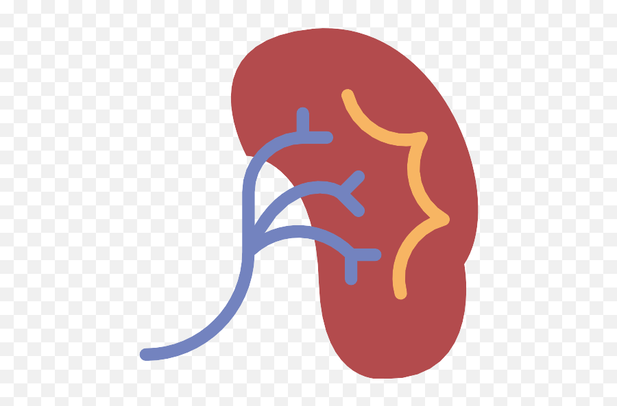 Kidney Png Icon - Cartoon Transparent Background Kidney Png,Kidney Png