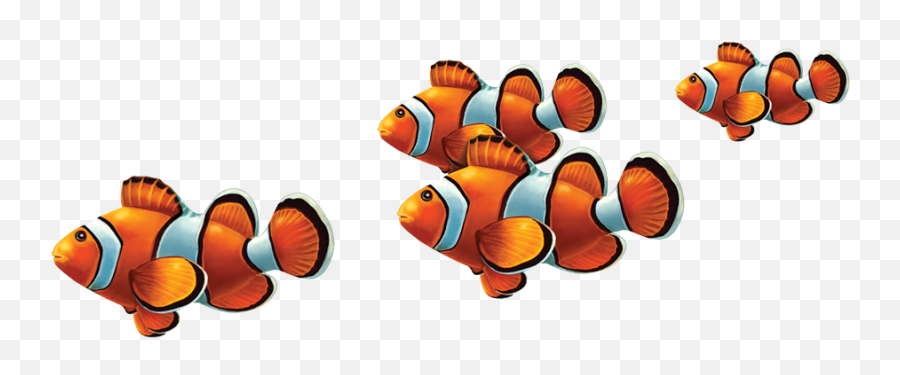 Porcelain Clown Fish Mosaic Custom - Group Of Fish Png,Clownfish Png