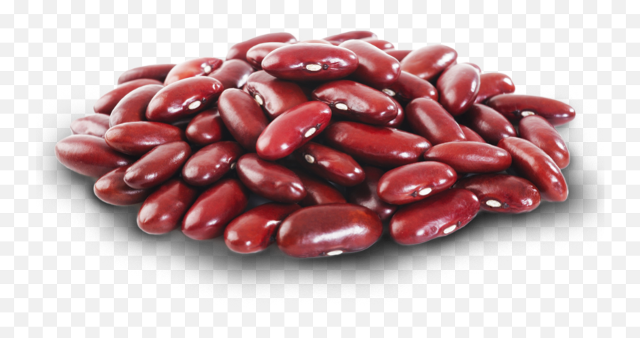 Kidney Beans Png Fasola Czerwona - Clip Art Library Kidney Beans Png,Beans Png
