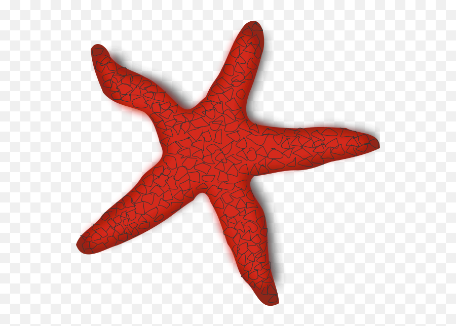 Free Download Png Starfish Images - Clip Art Sea Star,Star Fish Png