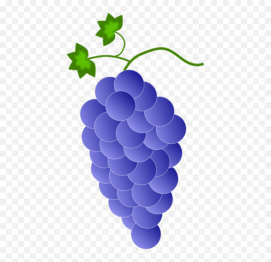 Purple Grapes Clipart Free Download Transparent Png - Color Purple Grapes,Grapes Transparent