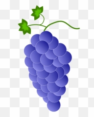 Purple Grapes Clipart Free Download Transparent Png - Color