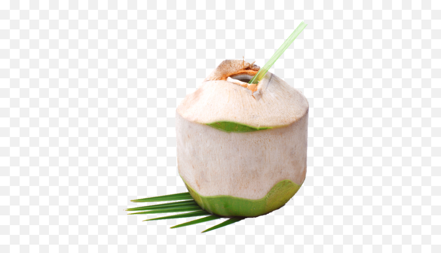 Than Bottled Crap In Stores Tumblr - Young Coxonut Png,Coconut Transparent
