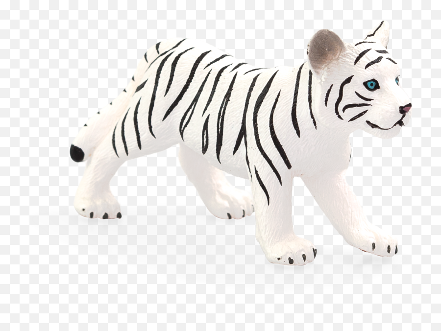 White Tiger Cub Standing - Mojo Bengal Tiger Png,White Tiger Png