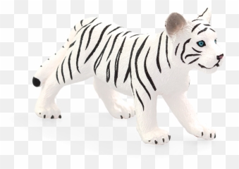 White Tiger Cub Standing - Mojo Bengal Tiger Png,White Tiger Png