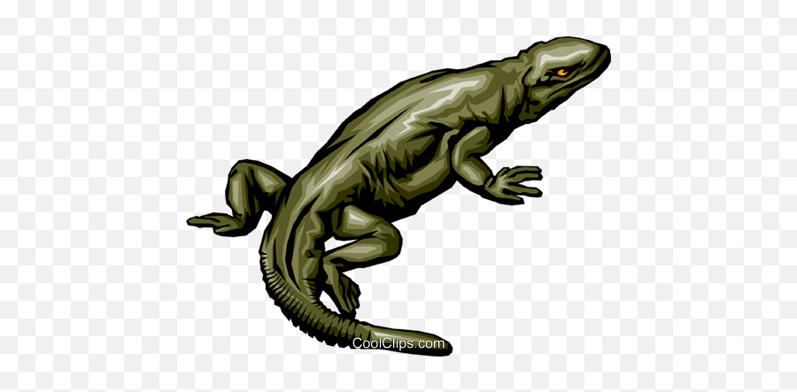 Komodo Dragon Clip Art - Lagarto Vetor Png Full Size Png Lagarto Vetor Png,Komodo Dragon Png