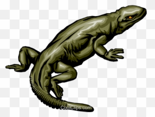 Komodo Dragon Clip Art - Lagarto Vetor Png Full Size Png Lagarto Vetor Png,Komodo Dragon Png