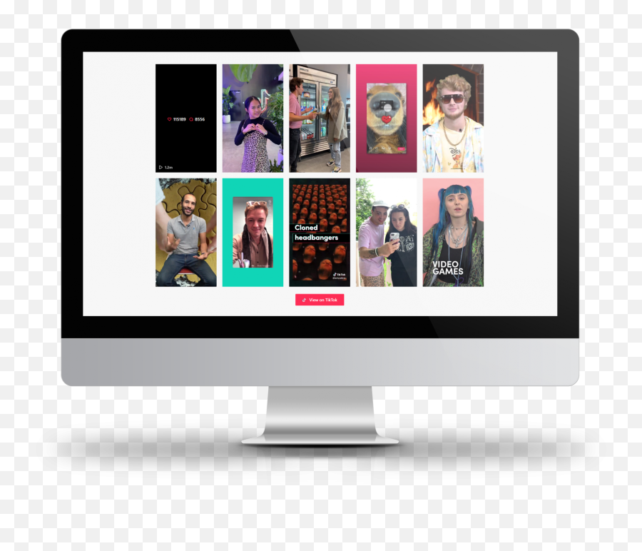 Tiktok Feed Plugin For Wordpress - Quadlayers Tiktok Png,What Does The Bling Icon Look Like On Tiktok