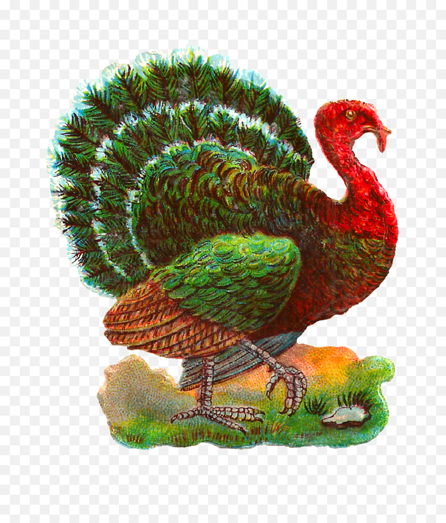Thanksgiving Clipart Vintage Png Turkey