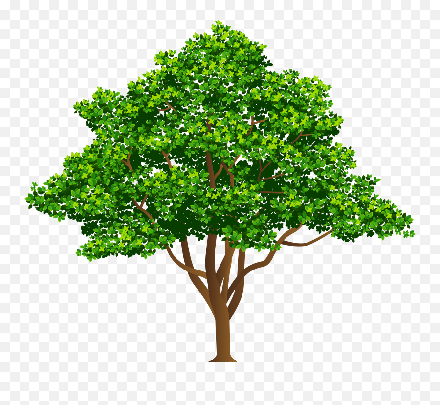 Tree Free Png Clip Art Image - Drawing Of A Yew Tree,Free Tree Png