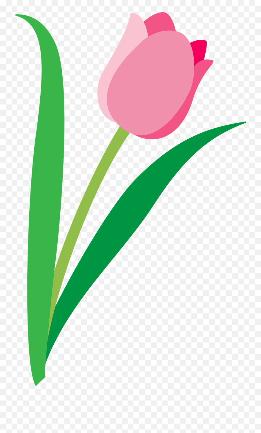 Tulip Clipart Free Download Transparent Png Creazilla - Floral,Tulips Icon