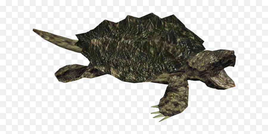 Snapping Turtle Png 2 Image - Alligator Snapping Turtle Png,Alligator Transparent Background