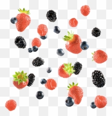 Sunbelle Proposal U2013 Website Redesign Visualatin - Strawberry Png,Berries Png