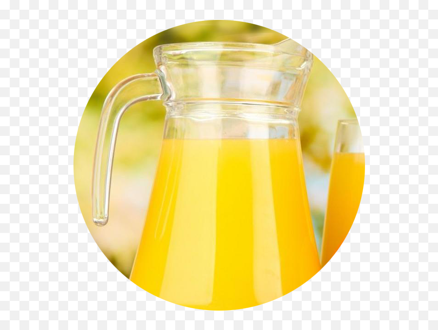 Download Hd Mimosa Pitcher - Jug Transparent Png Image Jug,Mimosa Png