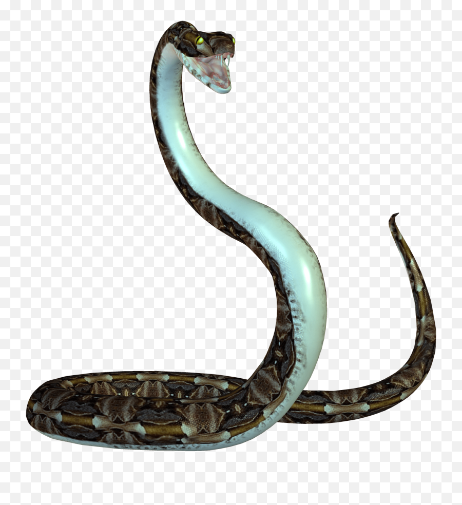 Animated Snake Png Images Transparent - Animated Snake Png,Snake Transparent Background