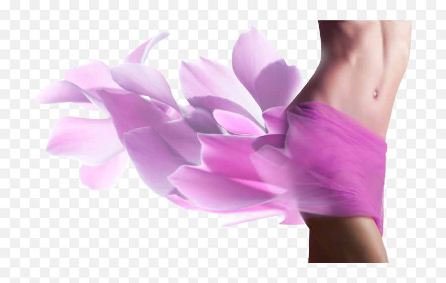 Women Waist Body Beauty Belly - Laser Hair Removal Flower Png,Beautiful Woman Png