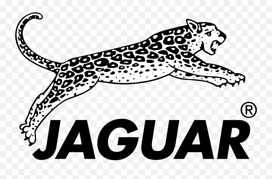 Jaguar Hair Logo Png Image - Jaguar Hair Logo,Jaguar Logo Png