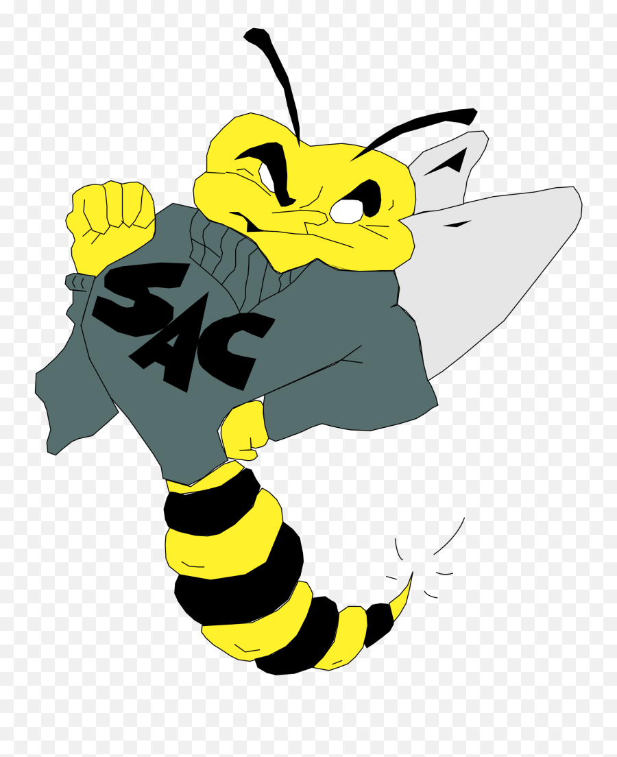Download Sacramento State Hornets Logo - Sac State Hornet Logo Png,Hornets Logo Png