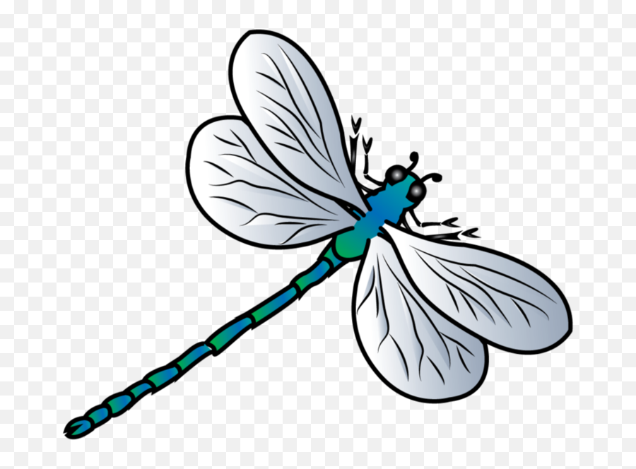 Dragonfly Clipart Transparent - Dragonfly Clipart Png,Dragonfly Transparent Background