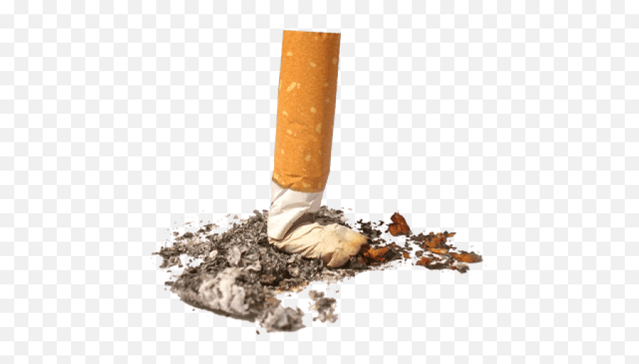 Cigarette Png Image - Used Cigarette Png,Tobacco Png