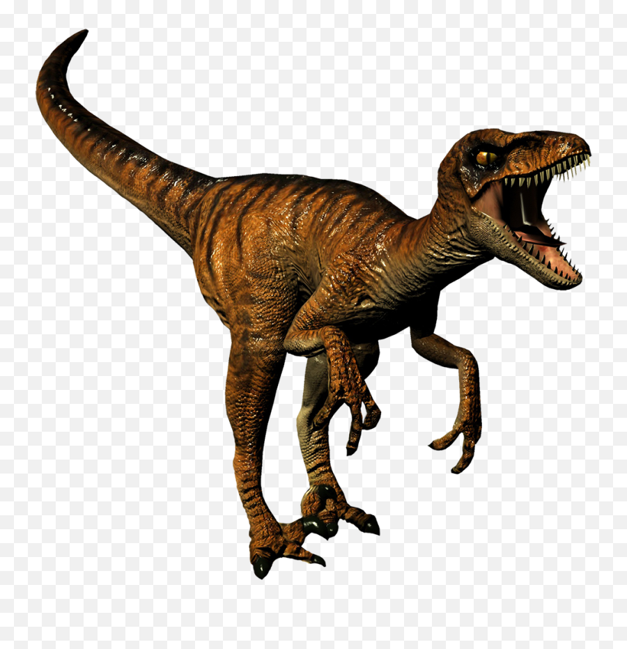 Dinosaur Clipart And Jokes - Velociraptor Images Free To Use Png,Dinosaurs Png