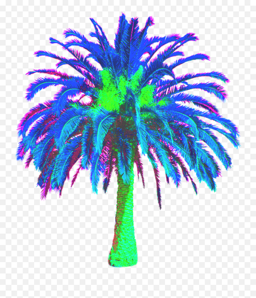 Download Freetoedit Vaporwave Vaporwavecrew Webpunk - Date Palm Tree Transparent Png,Vaporwave Pngs