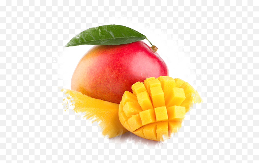 Caxeis Fruticultura - Mango Fruit Png,Manga Png