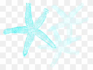 Starfish Clipart Aqua - Fish Clip Art Png,Starfish Clipart Transparent Background