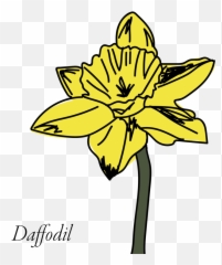 Daffodil Clipart Buttercup Flower - Lilies Png,Buttercup Png