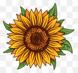 Sunflower Svg Png White - Fresh