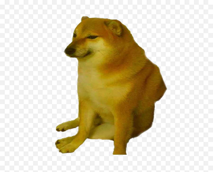 Cheemsburbger Dogelore Wiki Fandom - Cheems Meme Png,Sad Dog Png - free  transparent png images 