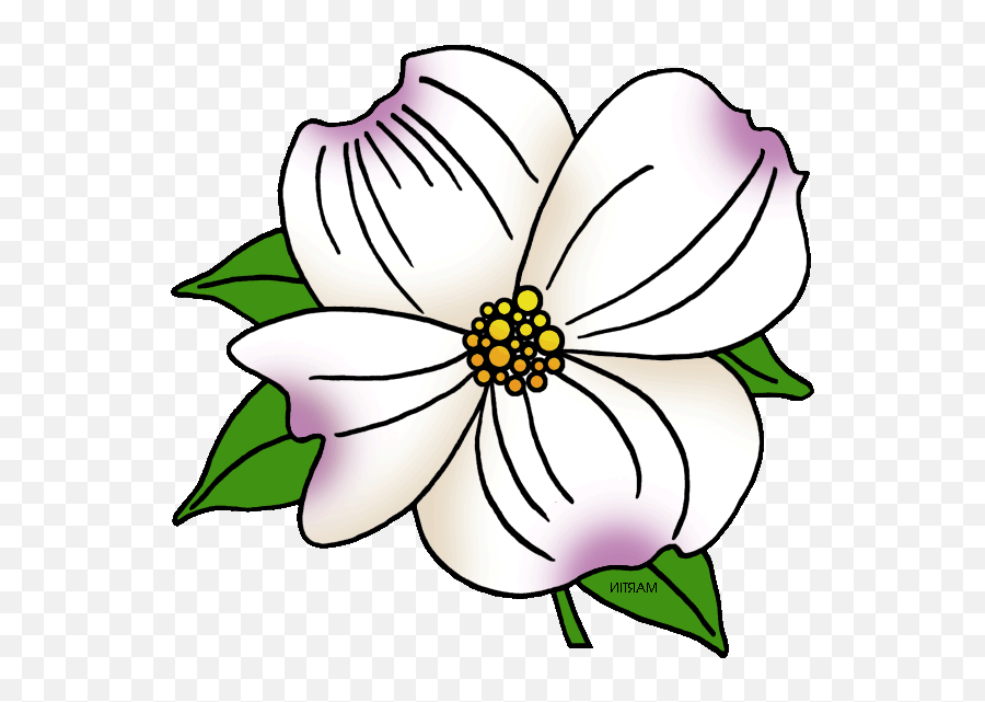 Clipart Of Carolina Virginia State And - Floral Png,North Carolina Png