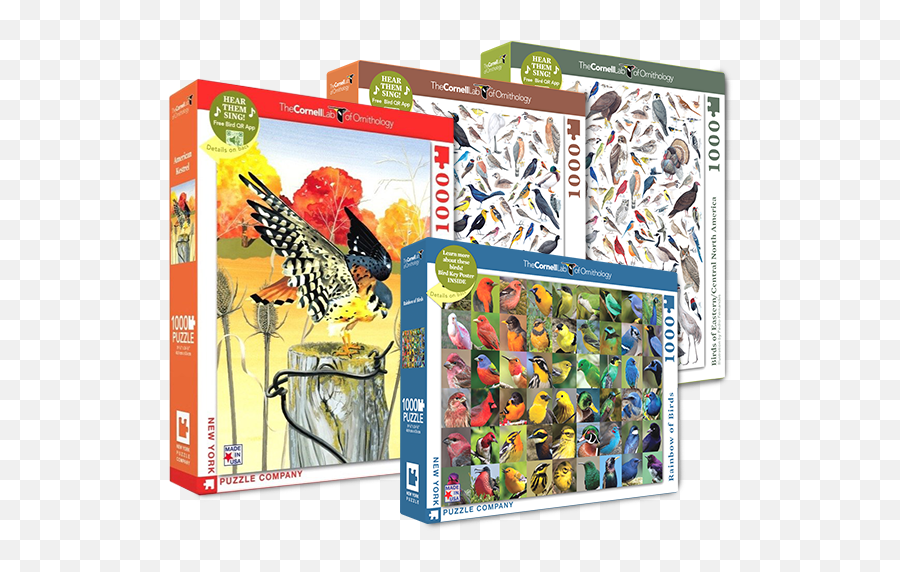 Birds Of North America 1000 Piece - Chapter 2 Bird Puzzle Png,North America Transparent