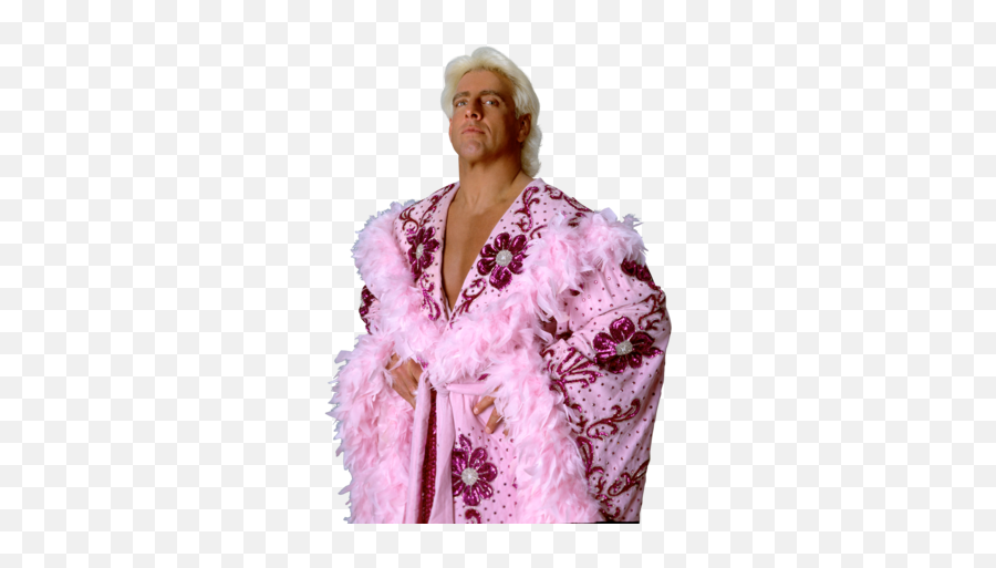 Download Free Png Ric Flair - Nature Boy Buddy Rogers Vs Ric Flair,Flair Png