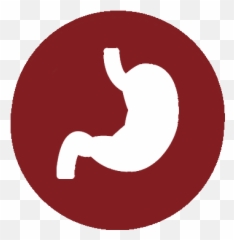Gastrointestinal - Bioinformatics Services For Research Goodge png