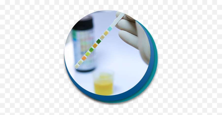 Peace Of Mind Drug Testing Services - Routine Urinalysis Procedure Png,Drug Test Icon