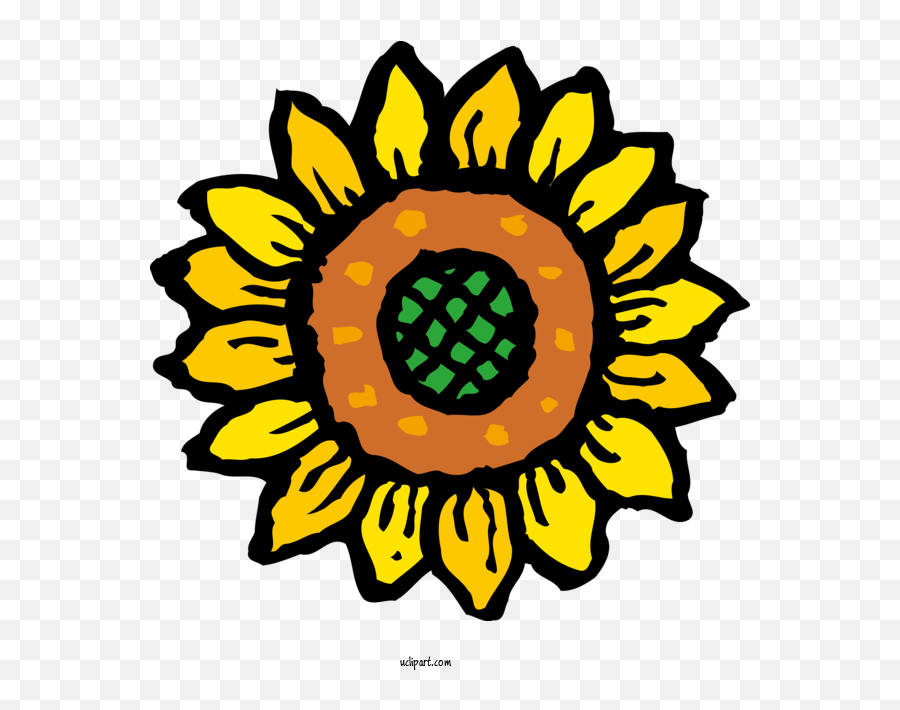 Flowers Icon Common Sunflower Health For - Sunflower Icon Png,Iris Flower Icon