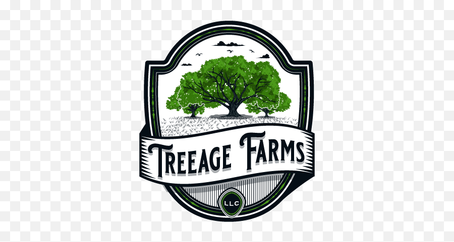 Contact Treeage Farms - Language Png,Etsy Shop Icon
