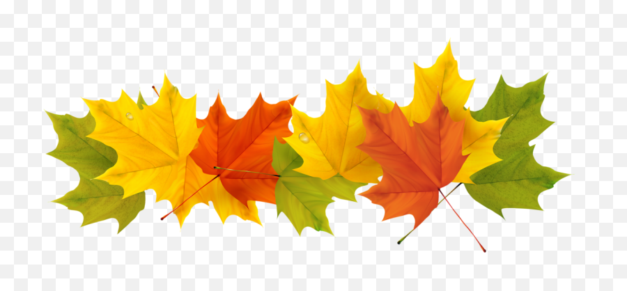 Transparent Fall Leaves Png - Fall Leaves Transparent Background,Fall Leaf Transparent