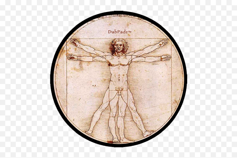 Vitruvian Man Dabpadz - Human Leonardo Da Vinci Anatomy Drawings Png,Vitruvian Man Png