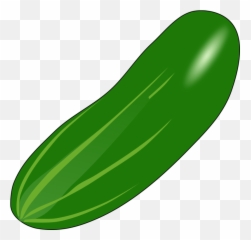 Library Of Zucchini Graphic Black And - Timun Vector Png,Zucchini Png