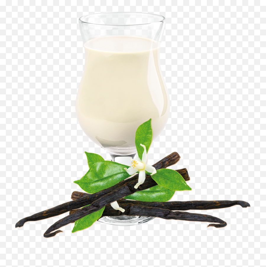 Download Vanilla Shake Drink Mix - Ideal Complete Idealfast Vanilla Drink Png,Vanilla Png