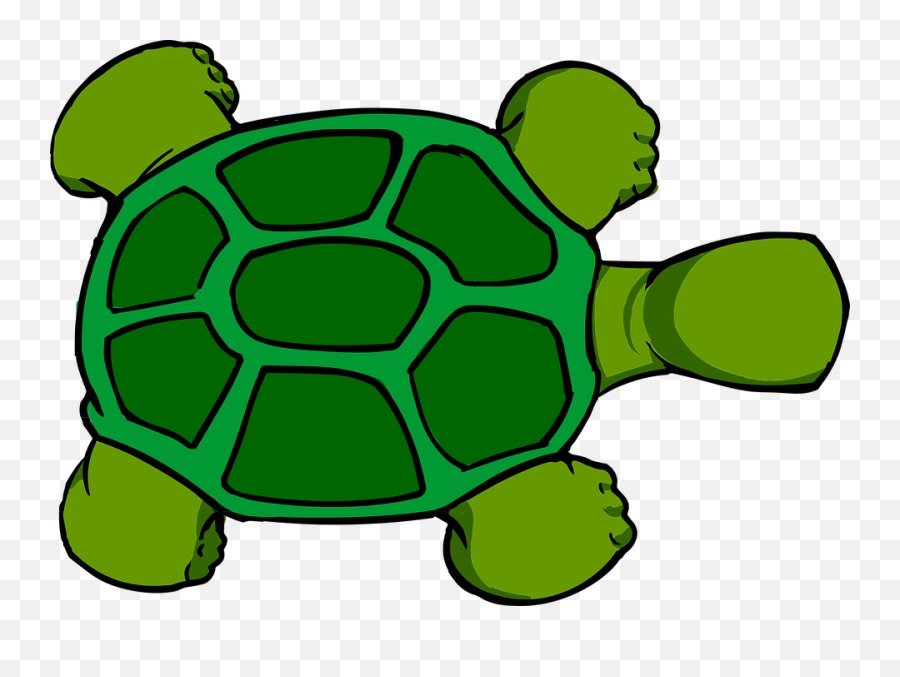 Turtle Shell Clipart - Cartoon Turtle Birds Eye View Png,Turtle Clipart Png