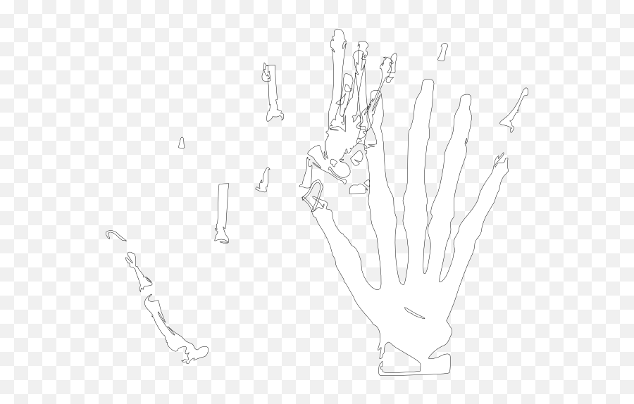 Skeleton Hand White Clip Art - Illustration Png,Skeleton Hand Png