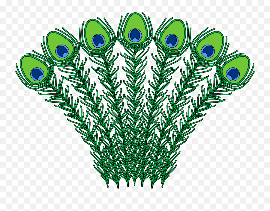 Heraldic Peacock Feathers - Peacock Feather Coat Of Arms Png,Peacock Feathers Png